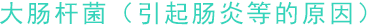 大肠杆菌（引起肠炎等的原因）