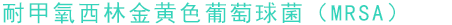 耐甲氧西林金黄色葡萄球菌（MRSA）