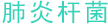 肺炎杆菌