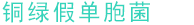 铜绿假单胞菌