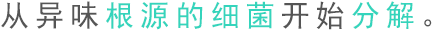 从异味根源的细菌开始分解。