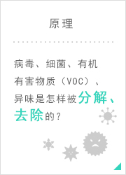 原理   病毒、细菌、有机有害物质（VOC）、异味是怎样被分解、去除的？