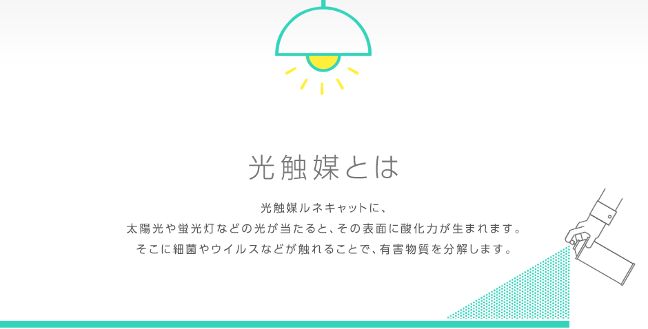 金年会