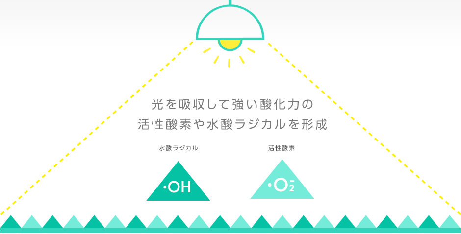金年会