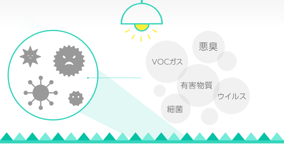 金年会