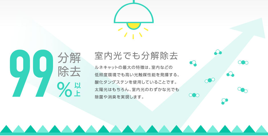 金年会