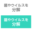 金年会