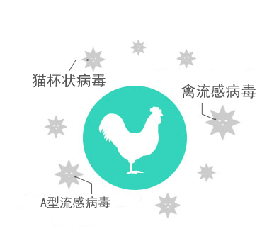 金年会