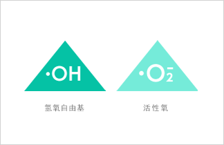 金年会