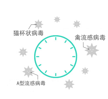 金年会