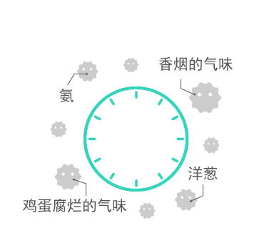 金年会