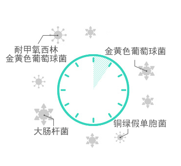 金年会