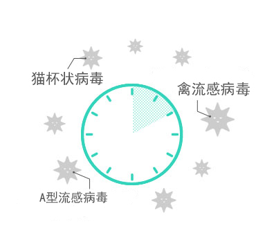 金年会