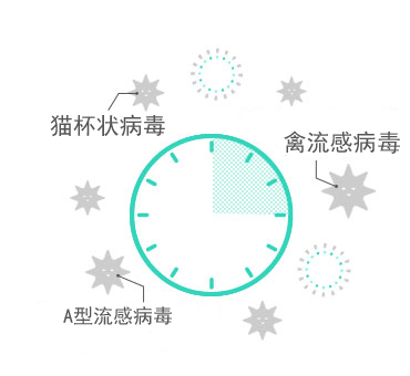 金年会