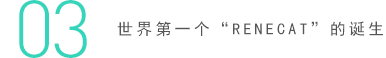 03 世界第一个“RENECAT”的诞生