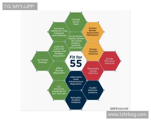 欧盟推出碳边境调节机制计划,加速实现碳中和目标
